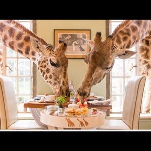 Meet your Posher, Addi